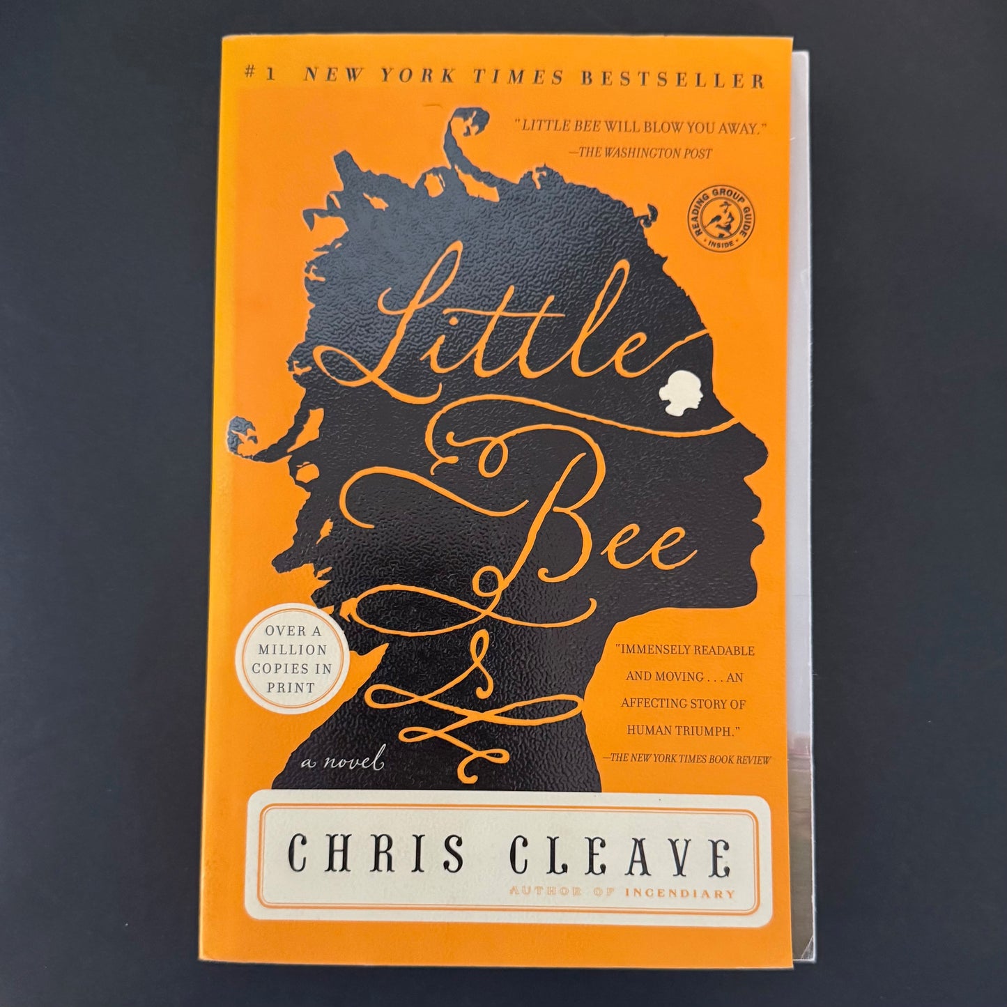 LITTLE BEE by Chris Cleave