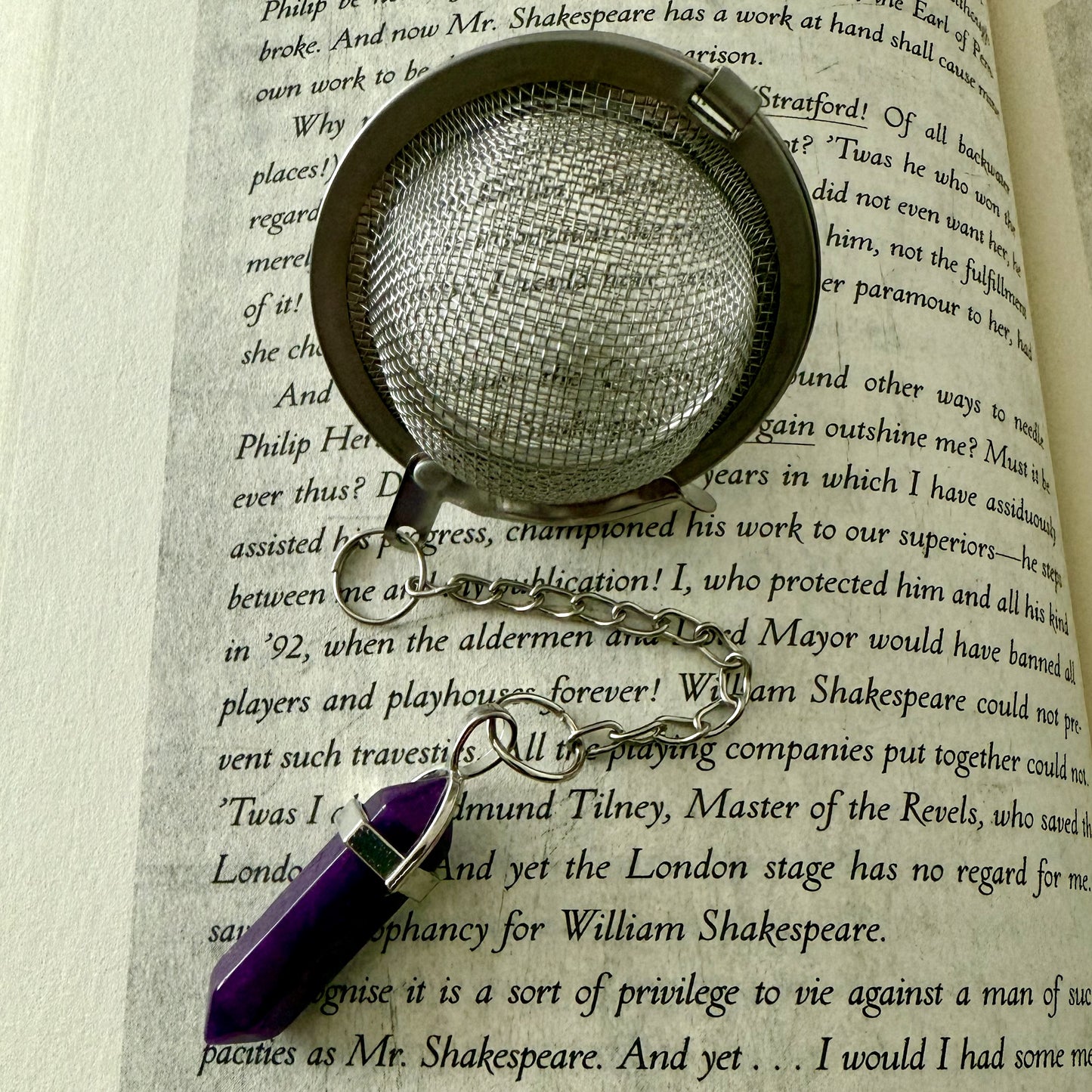 Loose Leaf Tea Steeper - PENDANT LARGE (DARK PURPLE)