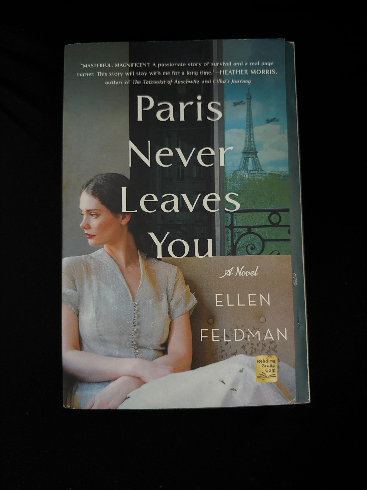 PARIS NEVER LEAVES YOU by Ellen Feldman