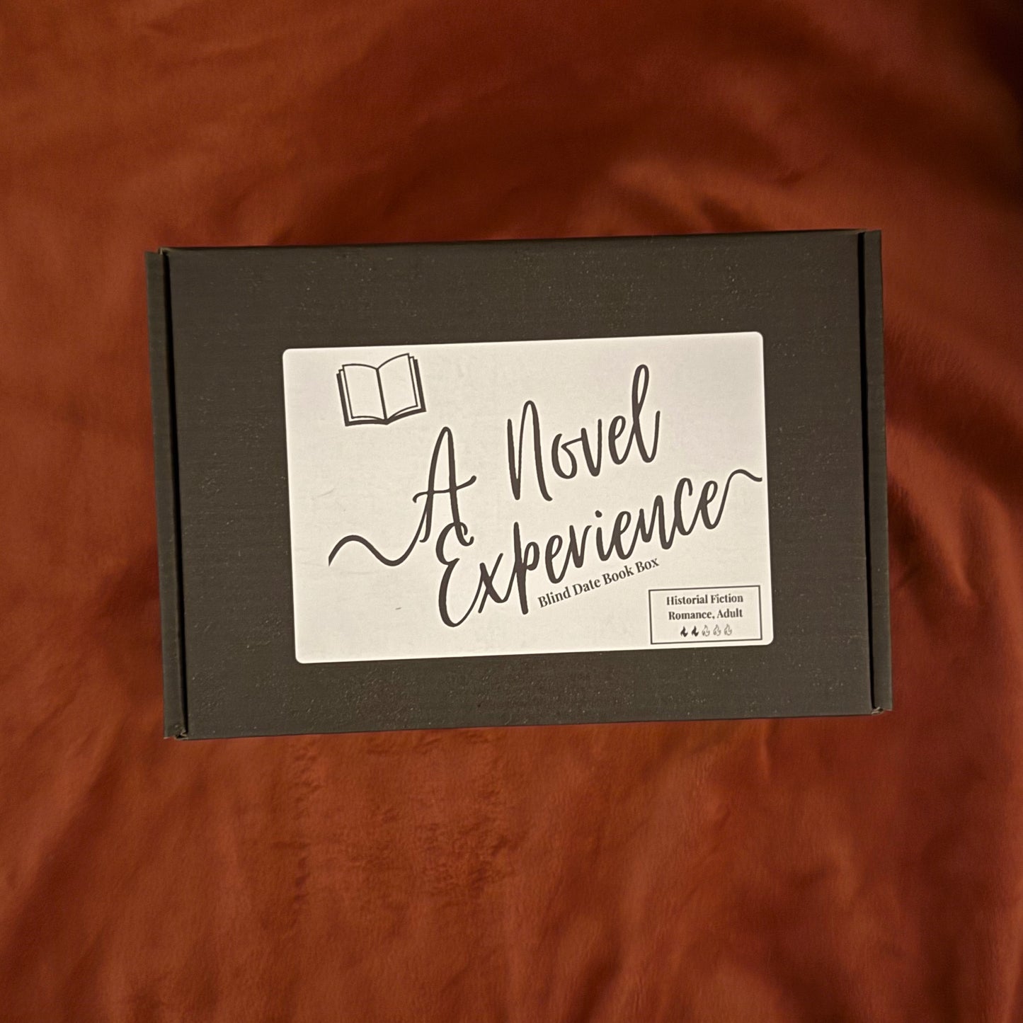 A Novel Experience - HISTORICAL FICTION