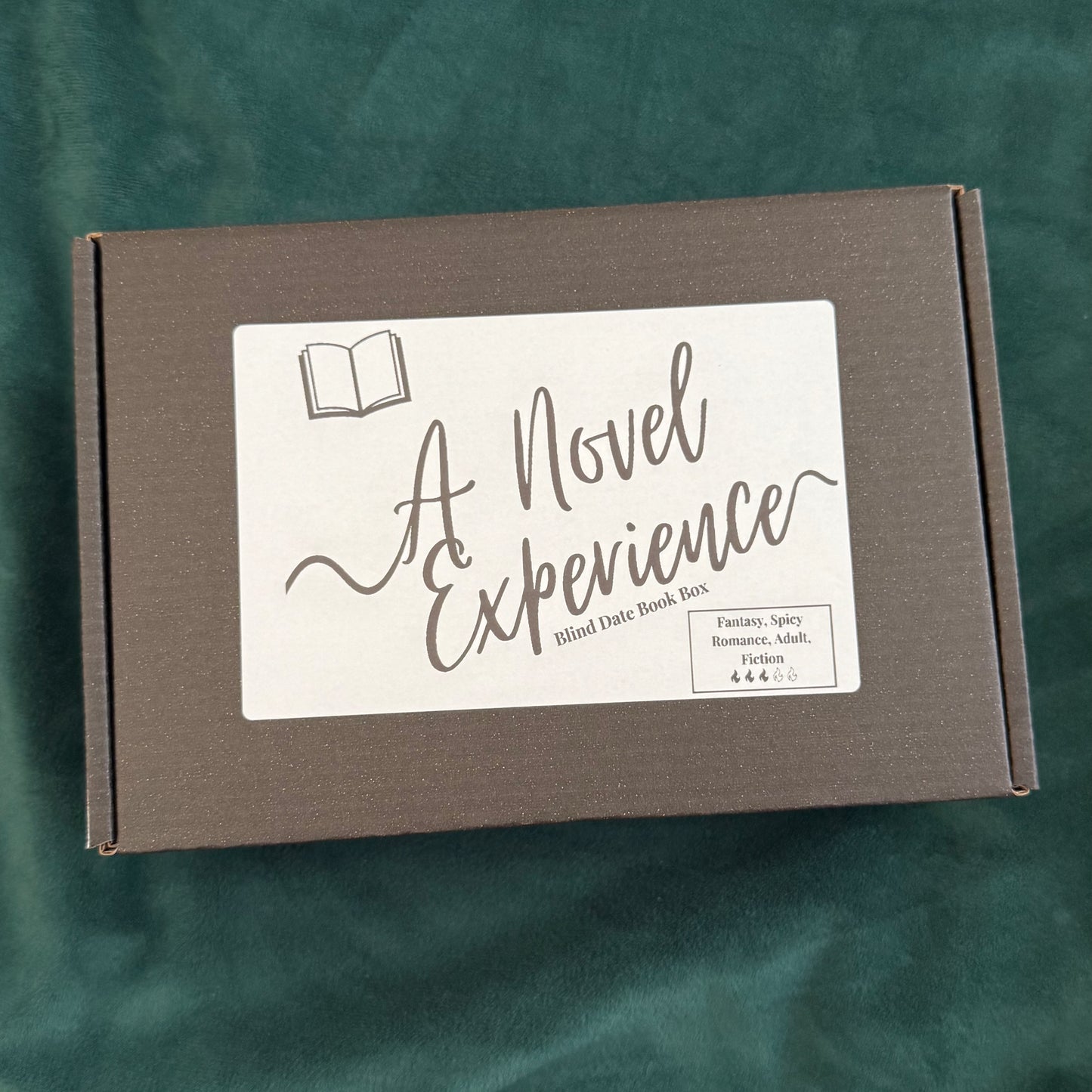 A Novel Experience - FANTASY (SPICY ROMANCE)