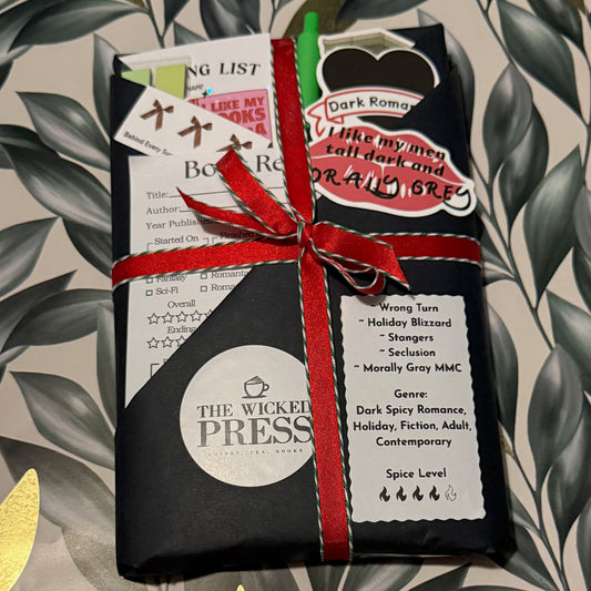 Blind Date with a Book - DARK SPICY ROMANCE (HOLIDAY)